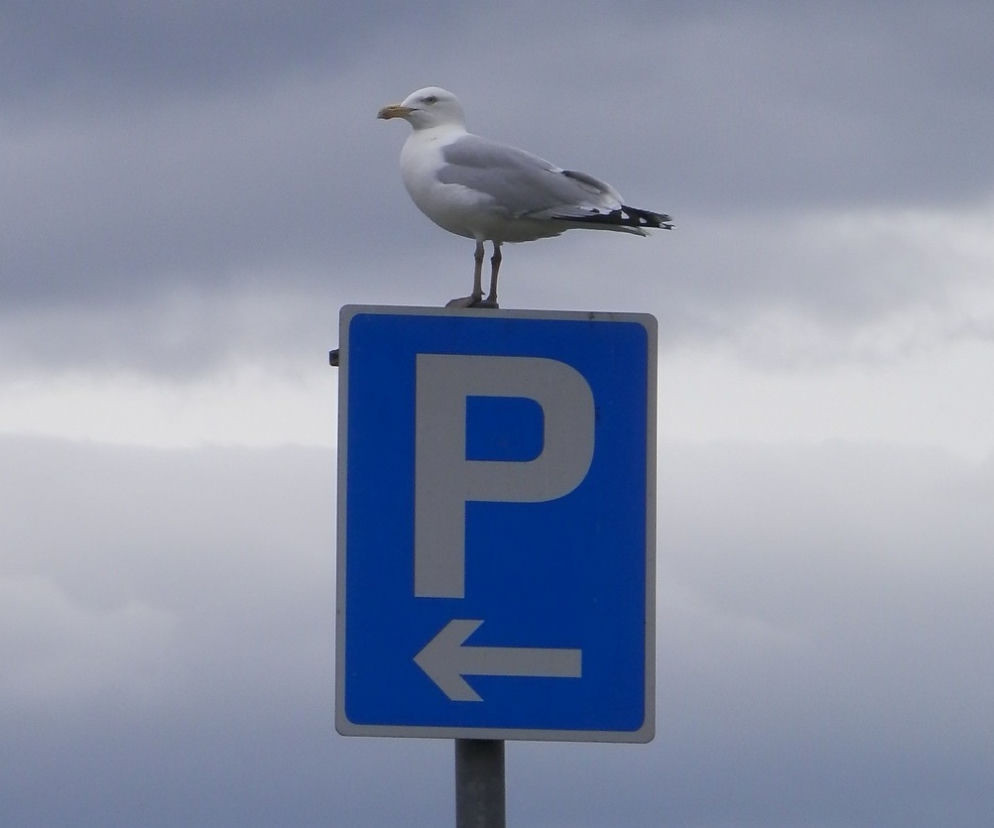 Darmowe parkingi