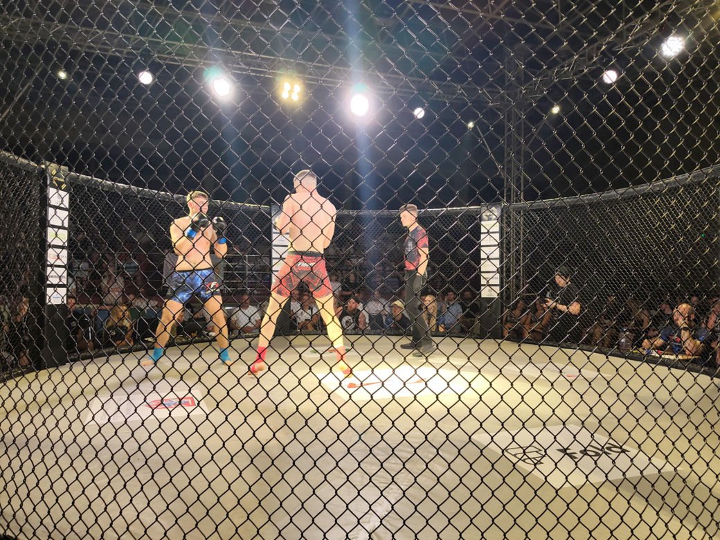 Fotorelacja z Gali Sportów Walki Taurus Fight Arena 2026 w Siedlcach