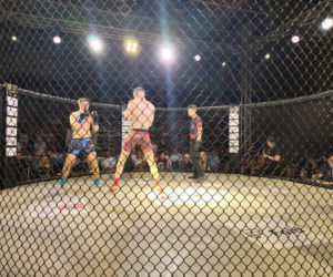 Fotorelacja z Gali Sportów Walki Taurus Fight Arena 2026 w Siedlcach