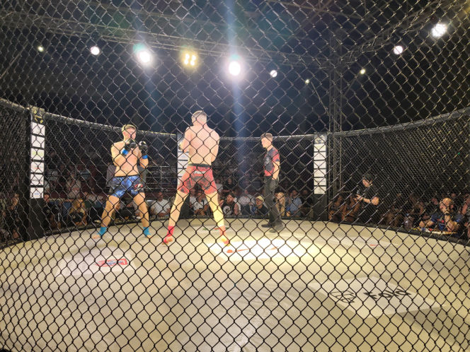 Fotorelacja z Gali Sportów Walki Taurus Fight Arena 2026 w Siedlcach