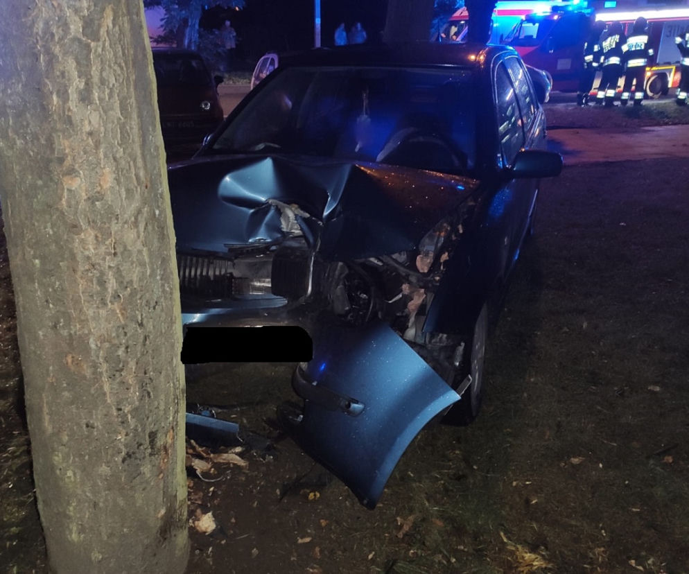Wypadek na Wileńskiej w Łodzi. PIJANĄ kobietę i jej PSA wyciągali z rozbitego auta świadkowie