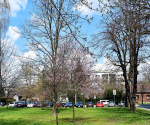 Po prawej: ceglany dom na Osiedlu Kolorowym 37 w Krakowie