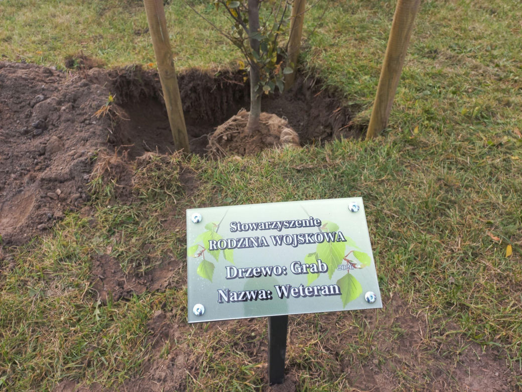 W młodym parku w Lesznie posadzono kolejne drzewa. Każde ma swoją tabliczkę