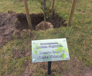 W młodym parku w Lesznie posadzono kolejne drzewa. Każde ma swoją tabliczkę
