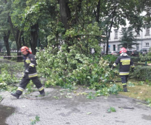 Nawałnica przeszła nad Krakowem: Zalane ulice, powalone drzewa, utrudnienia w komunikacji