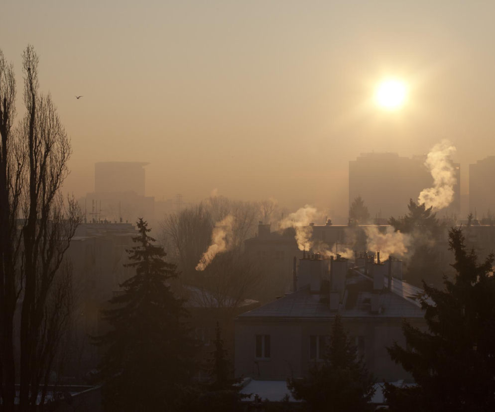 Miasto spowite smogiem o poranku, z widocznymi dymiącymi kominami i drzewami na tle wschodzącego słońca, co symbolizuje problem zanieczyszczenia powietrza w Polsce. Dowiedz się więcej o smogu i jego wpływie na zdrowie na Poradniku Zdrowie.