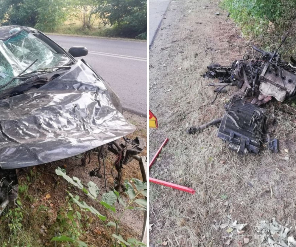 19-latek uderzył w drzewo. MASAKRA! Z auta wyrwało nawet silnik