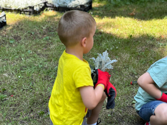 Przedszkolaki z SP 34 ukwieciły Park Miejski w Kielcach