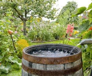 Od rynny po automatykę – jak zaplanować system zbierania wody opadowej?