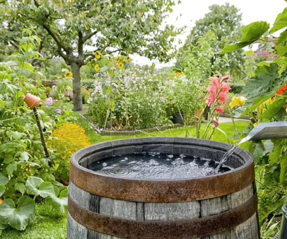 Od rynny po automatykę – jak zaplanować system zbierania wody opadowej?