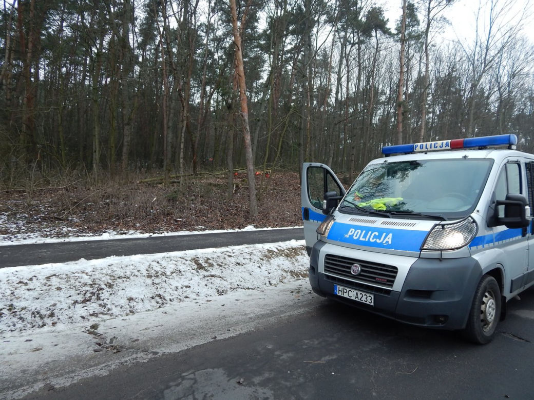 Wypadek przy wycince drzew - mężczyzna miał 0,9 promila