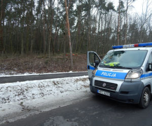 Wypadek przy wycince drzew - mężczyzna miał 0,9 promila