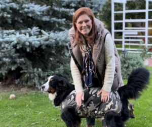 Dowbor walczy o Stefana