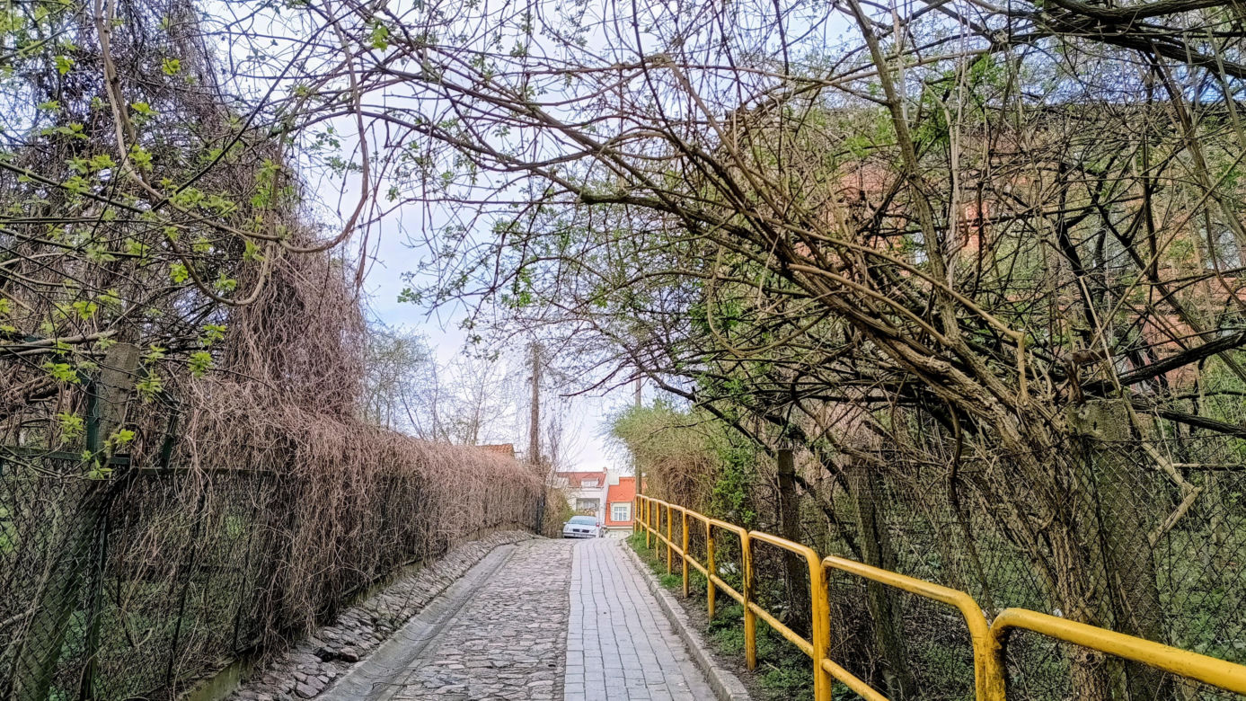 Rybaki, Toruń