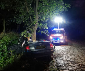 Tragiczny wypadek pod Braniewem. Audi wbiło się w drzewo. Nie żyje 19-latek [ZDJĘCIA]