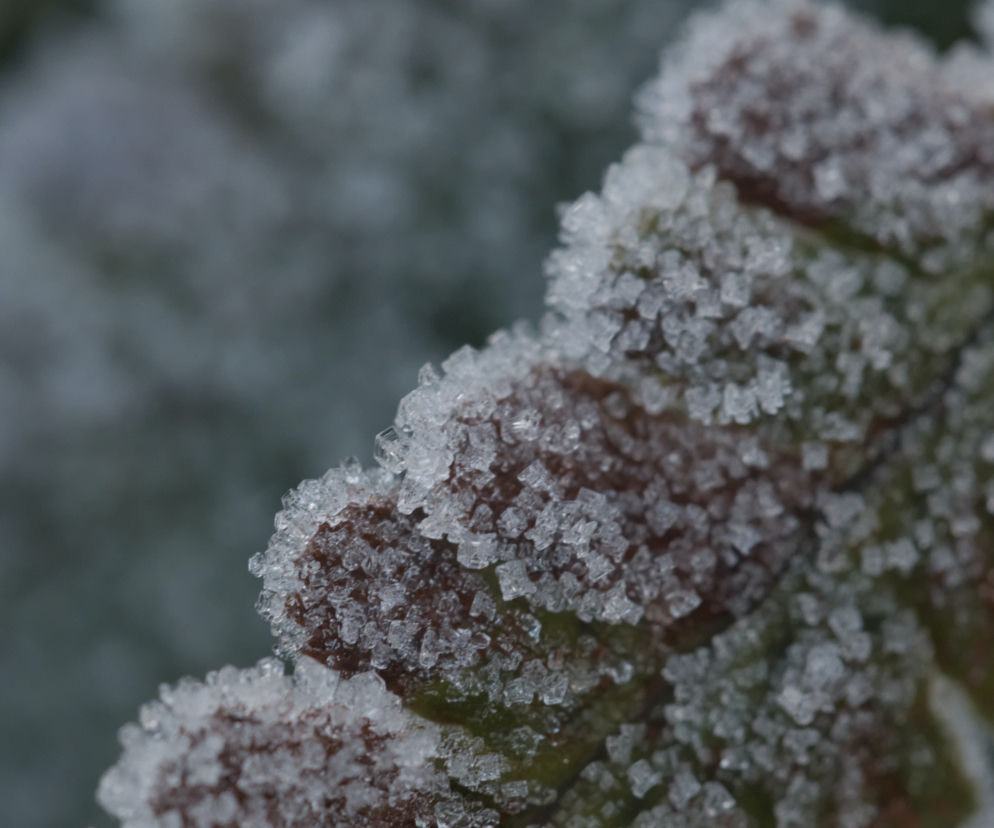 Prognoza pogody 15.12.2020. Na wtorek meteorolodzy zapowiadają m.in. śnieg i gołoledź