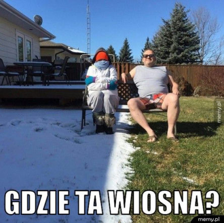 Równonoc wiosenna. Śmieszne obrazki na śnieżną wiosnę