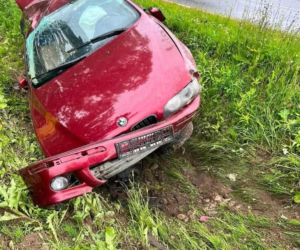 W Pruszynie- Pieńkach auto wypadło z trasy