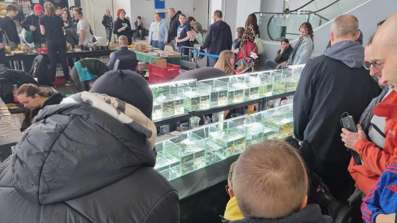 Targi Exotic Fest odbyły się w Poznaniu