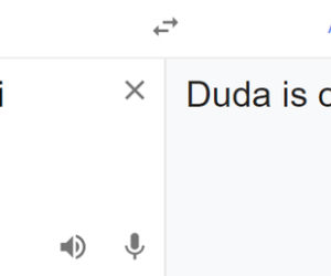Wybory 2020. Tłumacz Google mówi o Dudzie i Trzaskowskim: Duda is ok; Trzaskowski is...