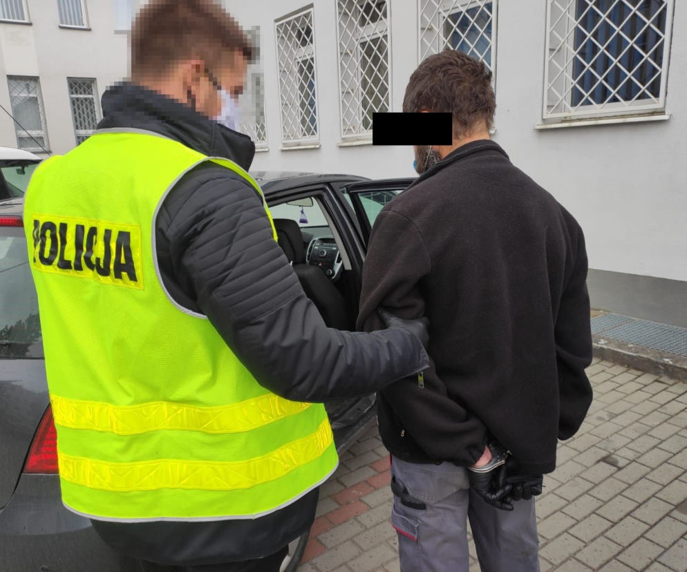 Żaba terroryzował Wejherowo