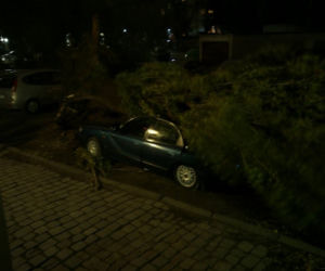 Wiatr uszkodził samochody na ulicy Jaracza