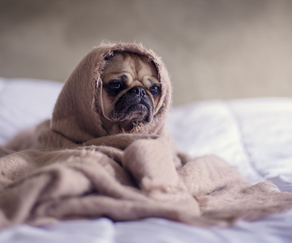Blue Monday 2020. Skąd wziął się najbardziej depresyjny dzień w roku?