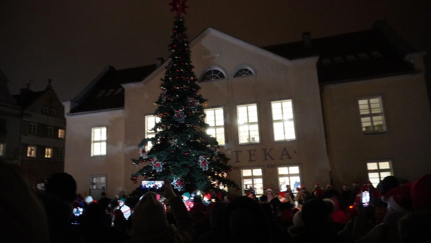 Święta w Olsztynie odpalone! Na Starym Mieście rozbłysła piękna choinka [ZDJĘCIA]
