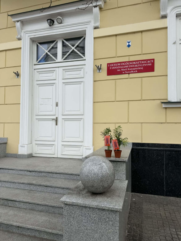 Darmowe palmy na ulicach Suwałk! Niezwykła akcja Radia ESKA