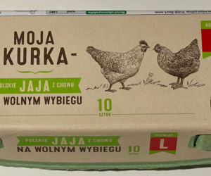 GIS ostrzega: Nie jedz TYCH JAJEK! Możesz zarazić się salmonellą [ZDJĘCIA, NUMER PARTII]