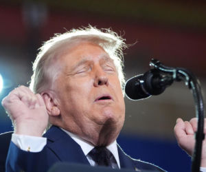 Bawół wygląda jak Donald Trump! To ocaliło mu życie