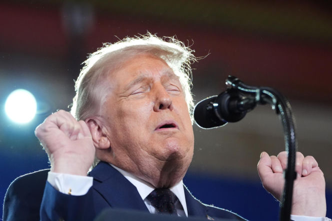 Bawół wygląda jak Donald Trump! To ocaliło mu życie