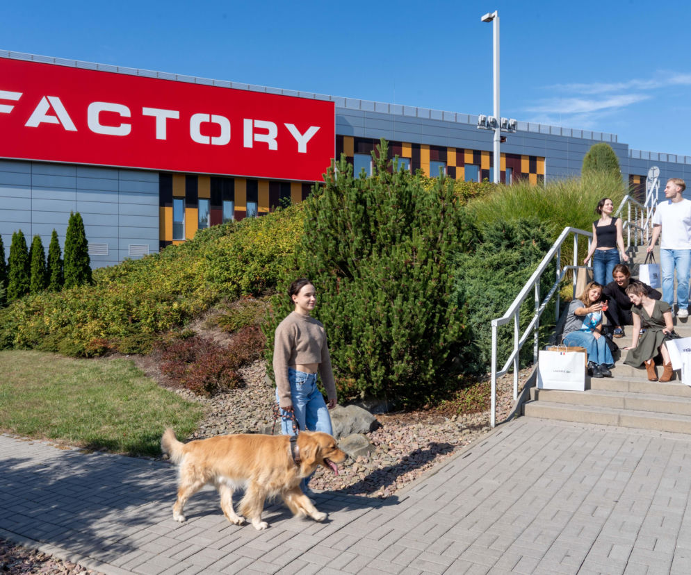 FACTORY Kraków obniża ceny o 50% na 12 godzin.  Startuje jesienne Jungle Night