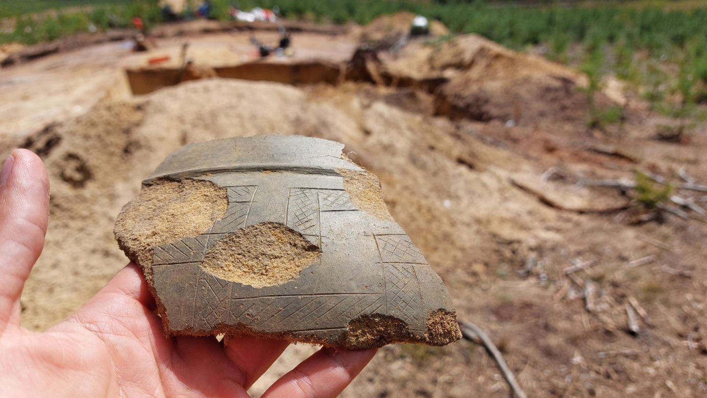 Niezwykłe odkrycie archeologiczne w Osiu pod Świeciem. W lesie jest cmentarzysko starożytnych Gotów