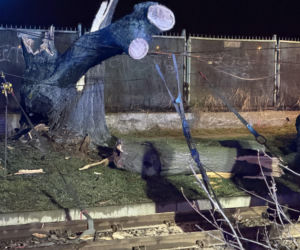 Powalone drzewa i awarie prądu w części województwa