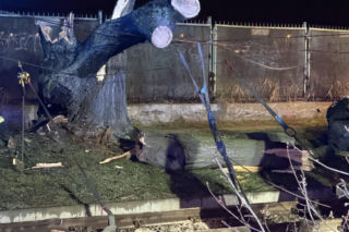 Powalone drzewa i awarie prądu w części województwa