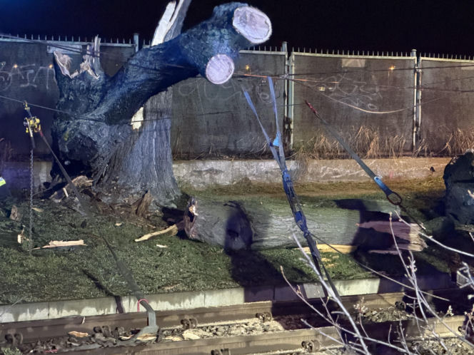 Powalone drzewa i awarie prądu w części województwa