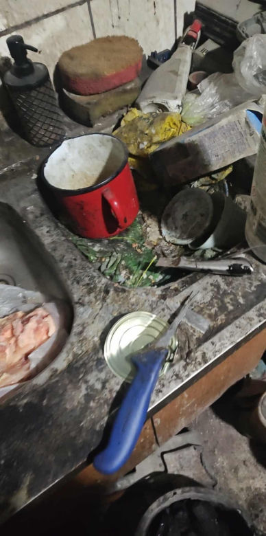 Pies konał na posesji w Dąbrowie Górniczej. Wolontariusze: "To było długotrwałe znęcanie się"