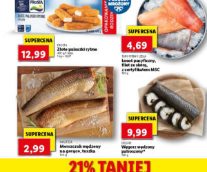 Promocje w Lidlu
