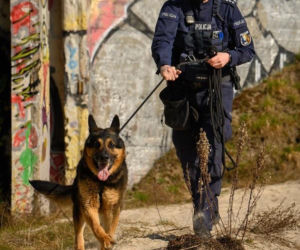 Nowy „funkcjonariusz” na czterech łapach zasilił szeregi policji w Lęborku