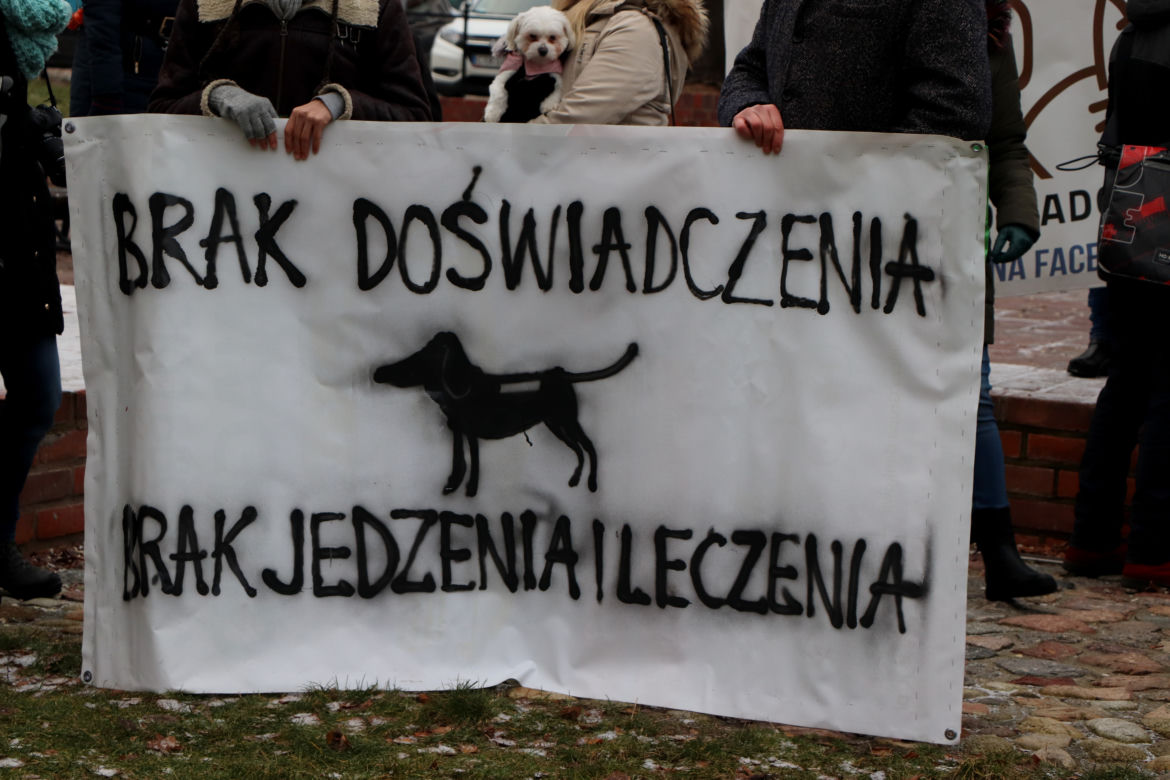 Oni mówią głosem zwierząt! Tak wygladał marsz w obronie zwierząt z Toruńskiego Schroniska [GALERIA, AUDIO]