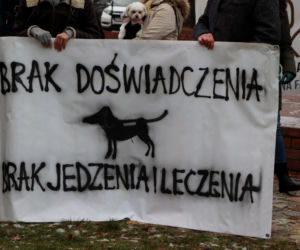 Oni mówią głosem zwierząt! Tak wygladał marsz w obronie zwierząt z Toruńskiego Schroniska [GALERIA, AUDIO]
