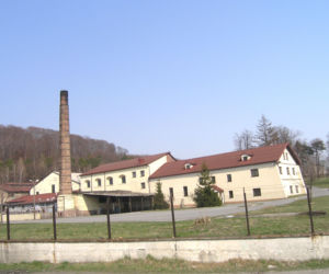 Browar Palikota wystawiony na sprzedaż. Zaskakujące ogłoszenie na OLX