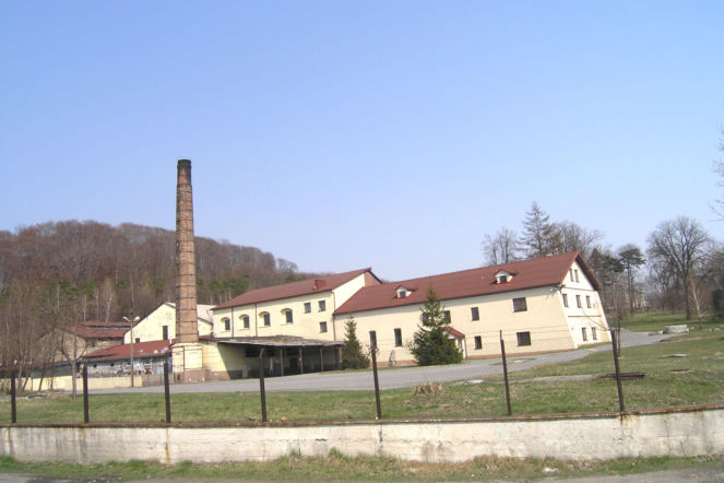 Browar Tenczynek Janusza Palikota na sprzedaż. Niezwykła oferta trafiła na popularny portal