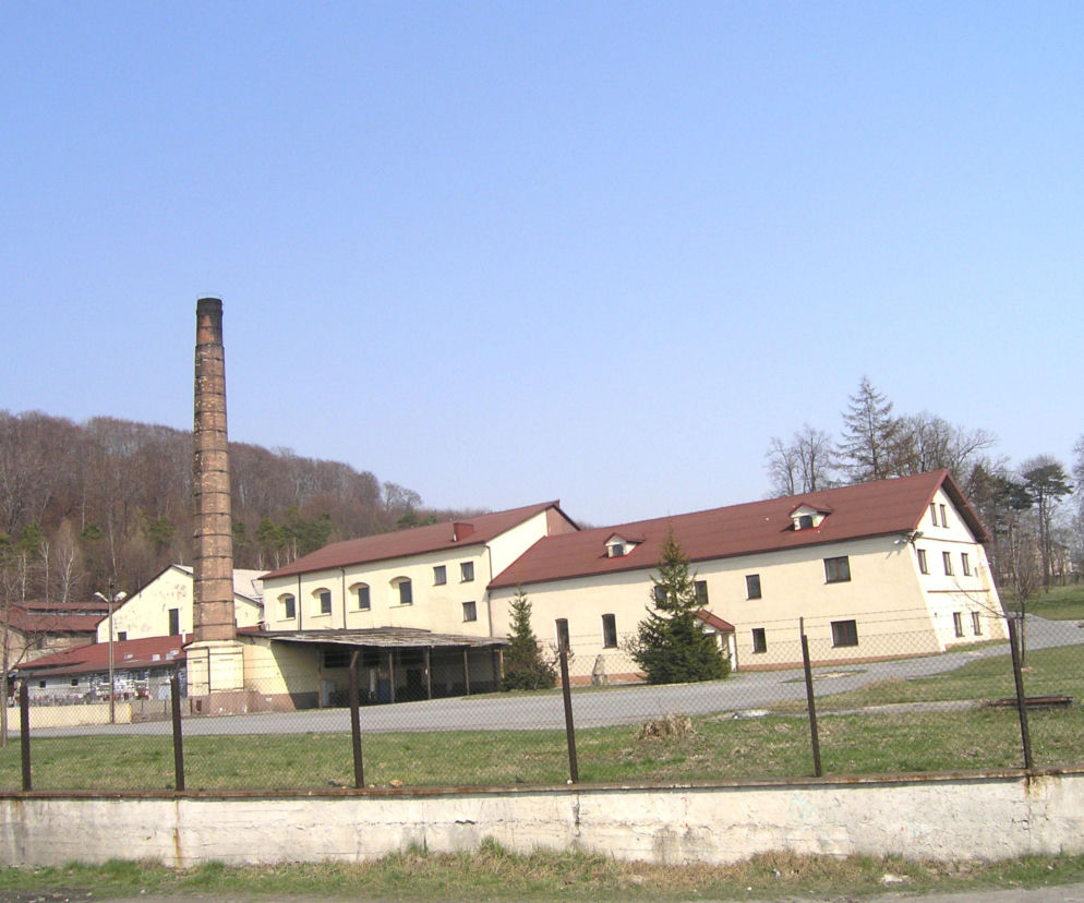 Browar Palikota wystawiony na sprzedaż. Zaskakujące ogłoszenie na OLX