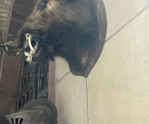 Co naprawdę dzieje się w zamku Zdrajców? Mamy zdjęcia zza kulis hitu TVN!