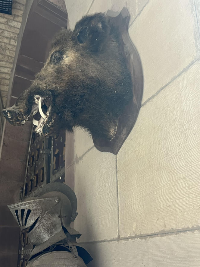 Co naprawdę dzieje się w zamku Zdrajców? Mamy zdjęcia zza kulis hitu TVN!