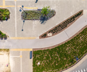 Park nad Południową Obwodnicą Warszawy w Warszawie