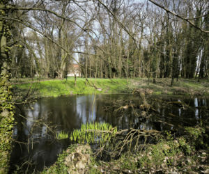 Pogoda na majówkę w Lesznie 2026