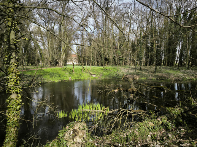 Pogoda na majówkę w Lesznie 2026